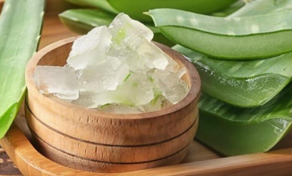 Aloe Vera Dice Almas Parsian